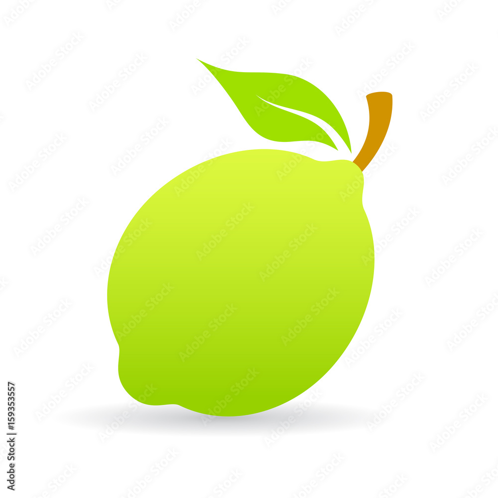 Green lime vector icon Green lime vector icon