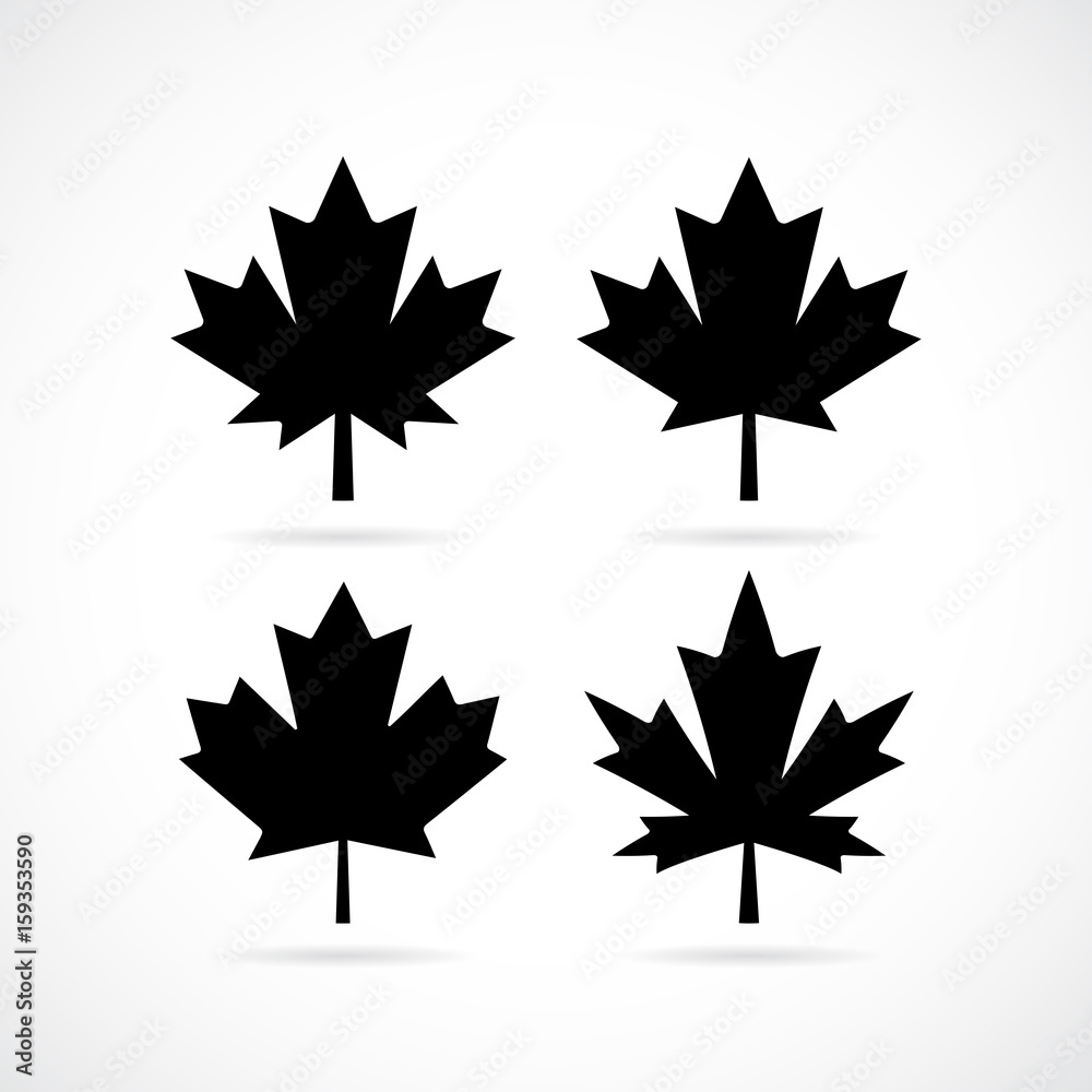 Maple tree leaf vector set Maple tree leaf vector set