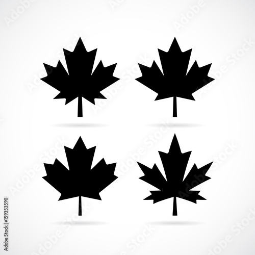 Maple tree leaf vector set
