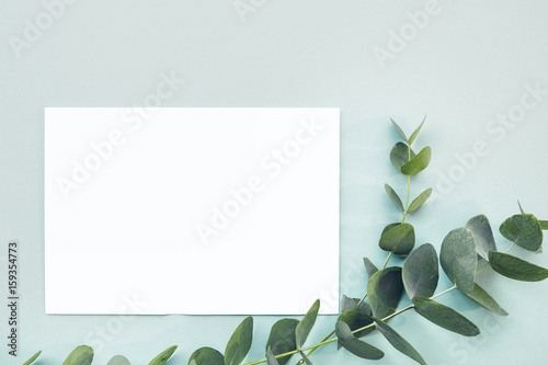 Canvas Print flat lay eucalyptus branches and blank white sheet on blue background, top view