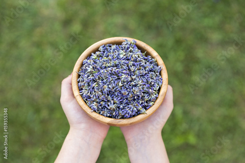 Fototapeta Naklejka Na Ścianę i Meble -  Ciotola di lavanda in mano a un bambino