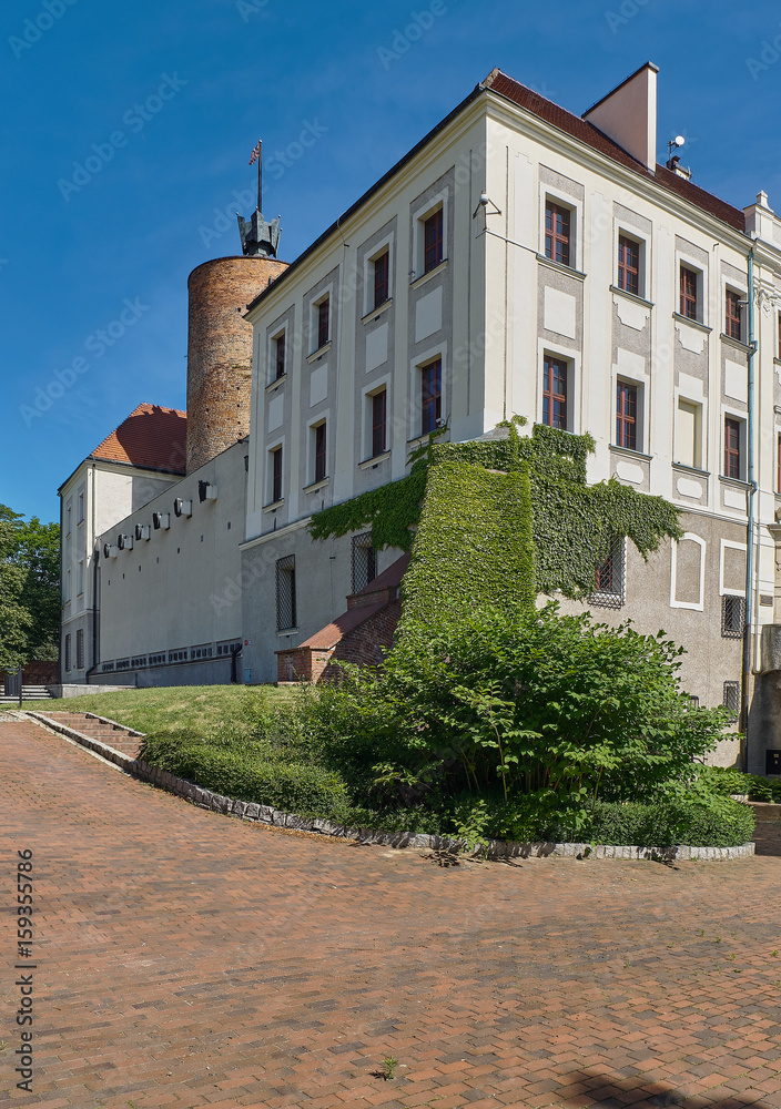 Głogów, Zamek Książąt Głogowskich