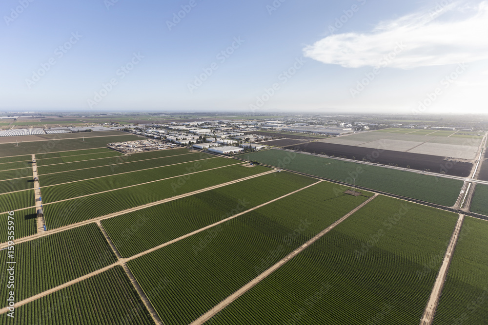 Aerial view of green farm fields near Camarillo in Ventura County, California. 