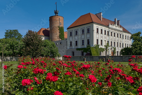 Głogów, Zamek Książąt Głogowskich