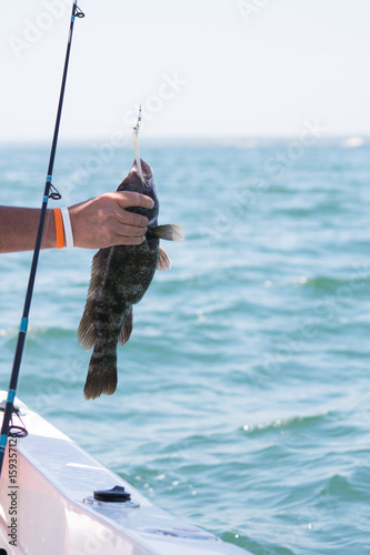 Fishing for Tautog on the boat