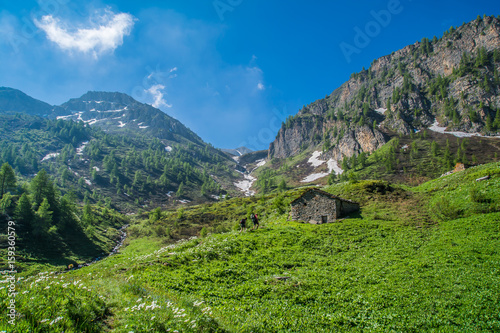 Trekking sul Monviso