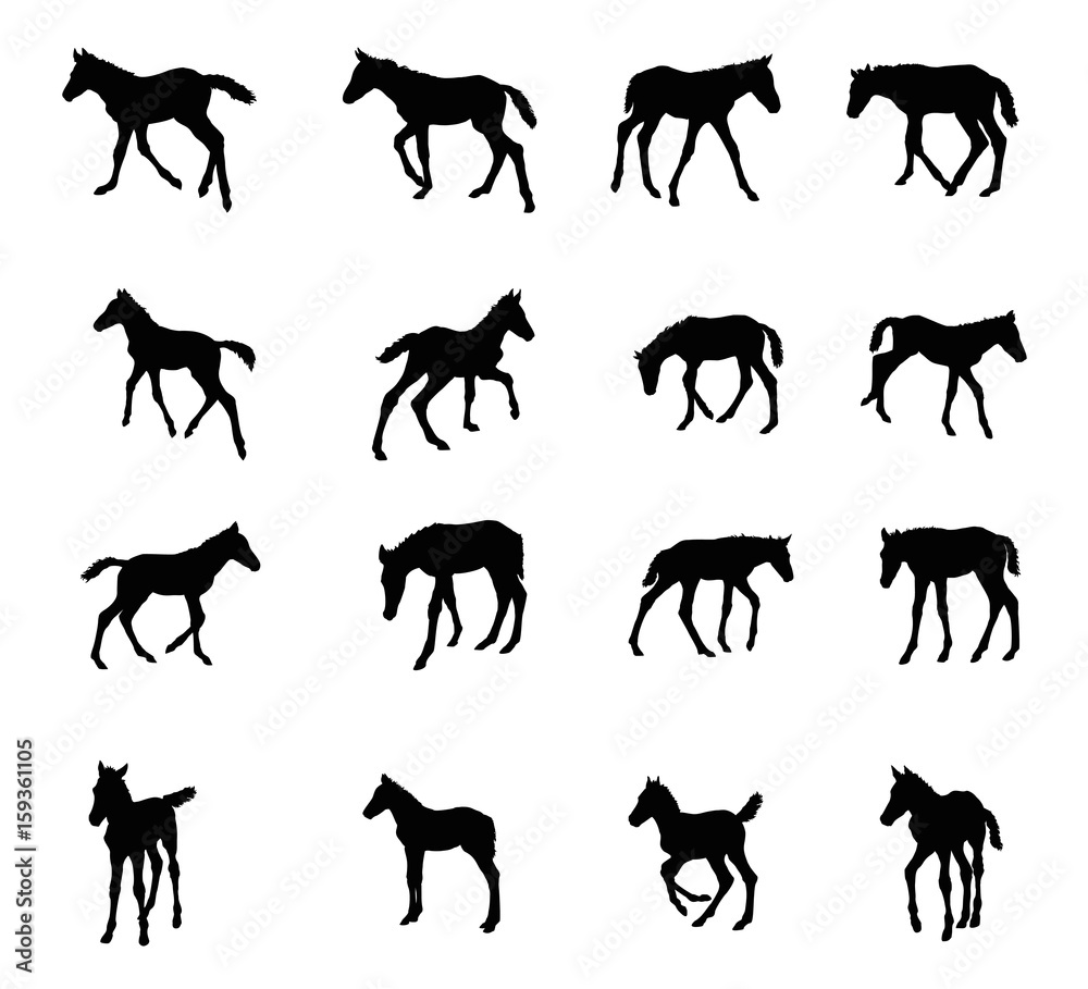 Obraz premium Set of silhouettes of foals