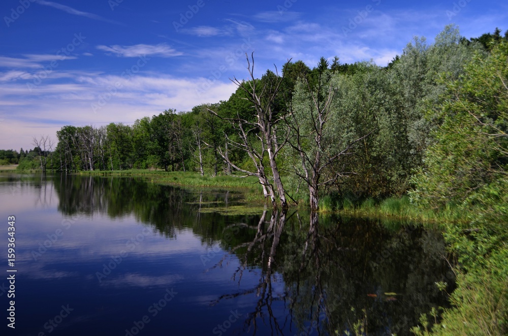 Seachtn Weiher bei Andechs