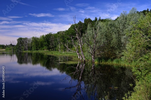 Obraz na płótnie Seachtn Weiher bei Andechs w salonie