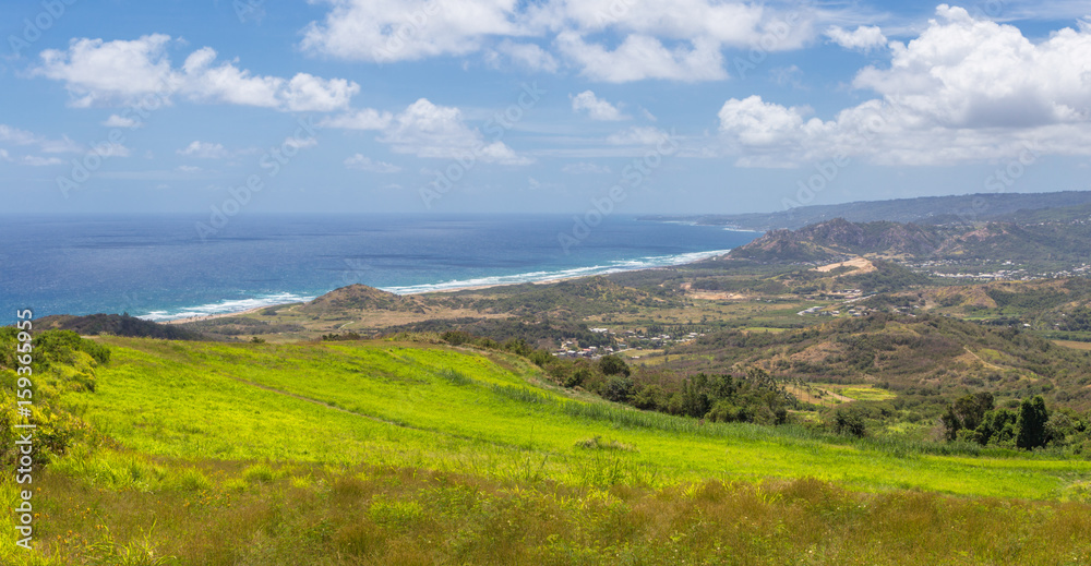 The atlantic coast of the caribbean island of barbados