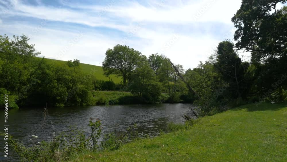 River Dart flowing between trees River Dart flowing between trees