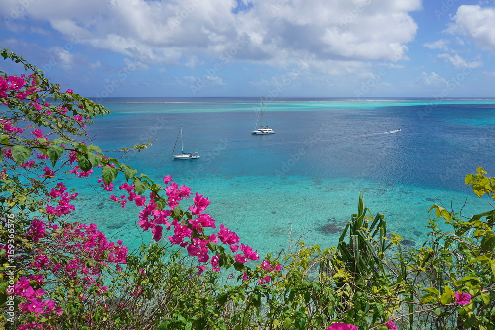 Seascape over tropical lagoon with two boats moored and bougainvillea flowers in foreground, Huahine island in French Polynesia, Pacific ocean, Oceania