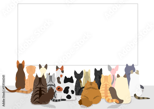 cats group looking at blank board, rear view