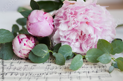 Fototapeta Naklejka Na Ścianę i Meble -  Peonies and eucalyptus on vintage sheet music