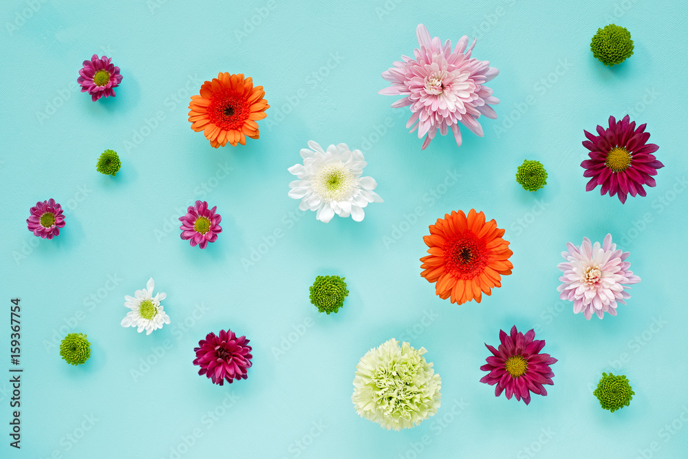 Colored asters on canvas. Abstract background