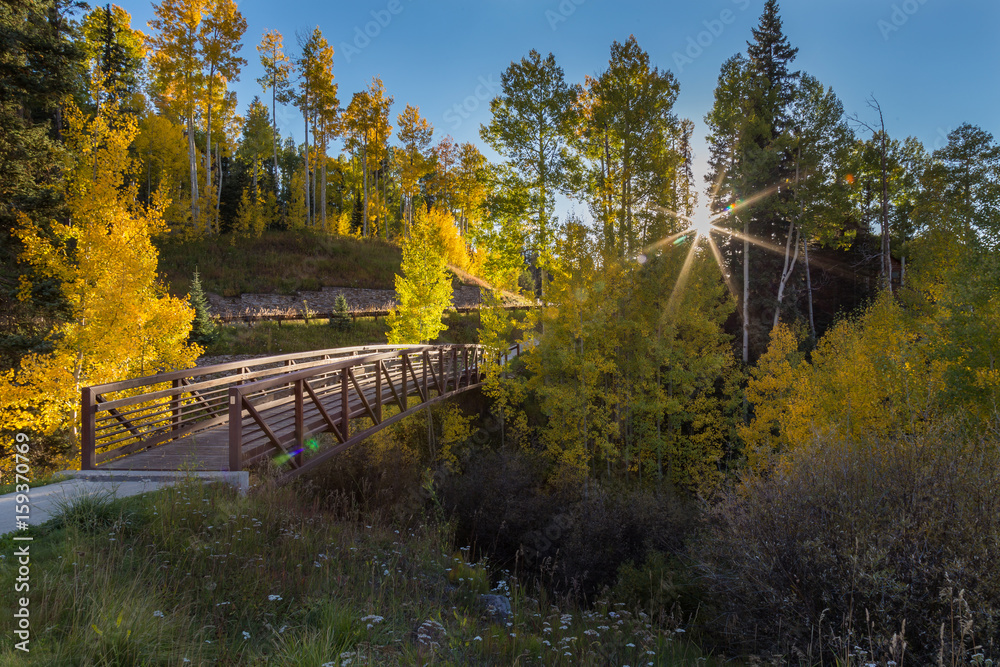 Beautiful Bridge