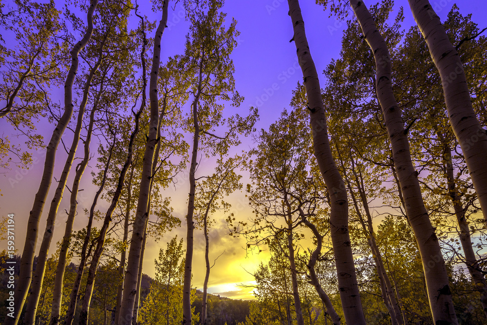 Fototapeta premium Aspen Skies on Fire