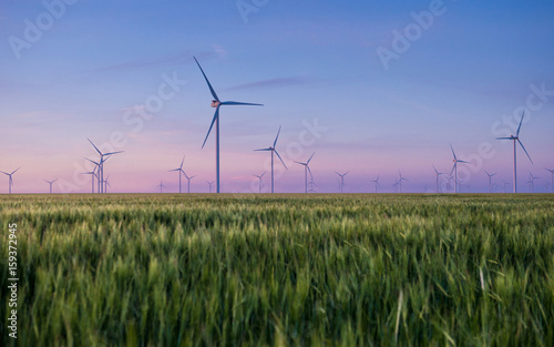 Group of windmills for electric power production in the green field of wheat