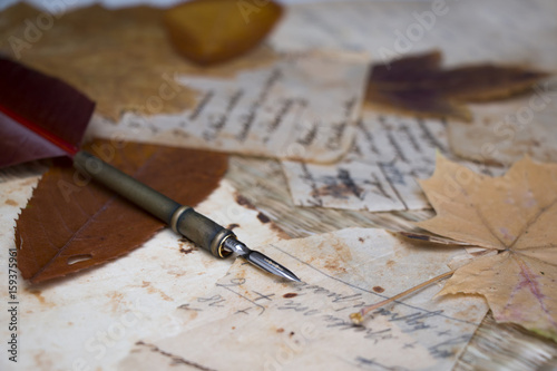 Still life. View of old handwritten notes on stained papers closeup. Dried leaves. Quill.