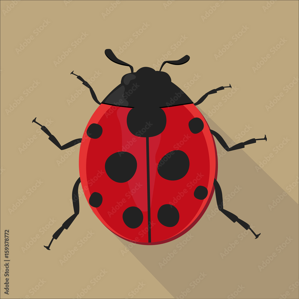 Ladybug isolated flat style, vector illustration. Ladybug isolated flat style, vector illustration.