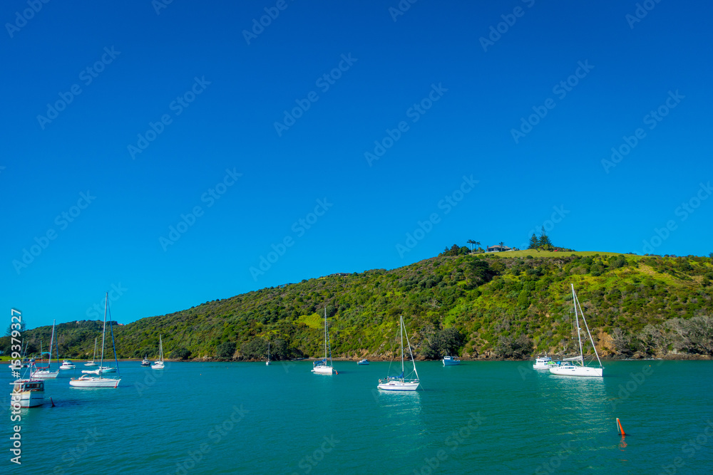 Obraz premium Sailing yachts in Waiheke Island, New Zealand. with a beautiful blue sky and magenta water in a sunny day