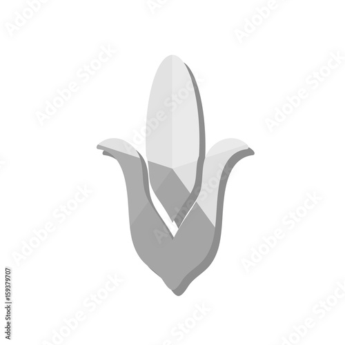 Icon - Mais - Getreide
