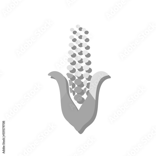 Icon - Maiskolben