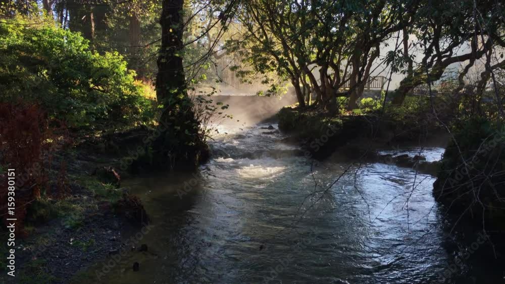 Morning Autumnal sunshine on pretty river Morning Autumnal sunshine on pretty river