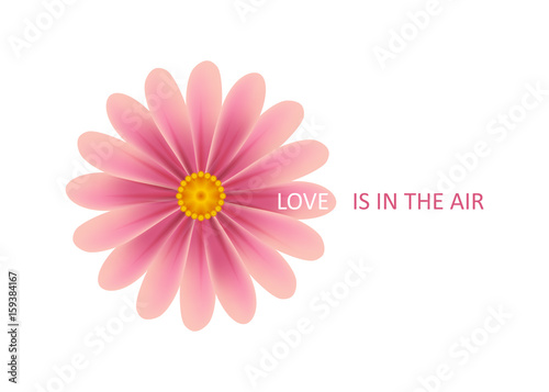 Love is in the air with floral theme