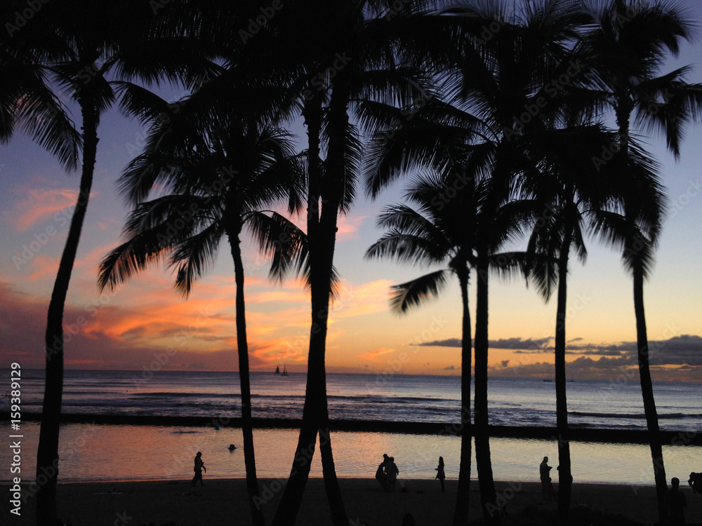 beautiful sunset of Waikiki beach with palm trees, HAWAII