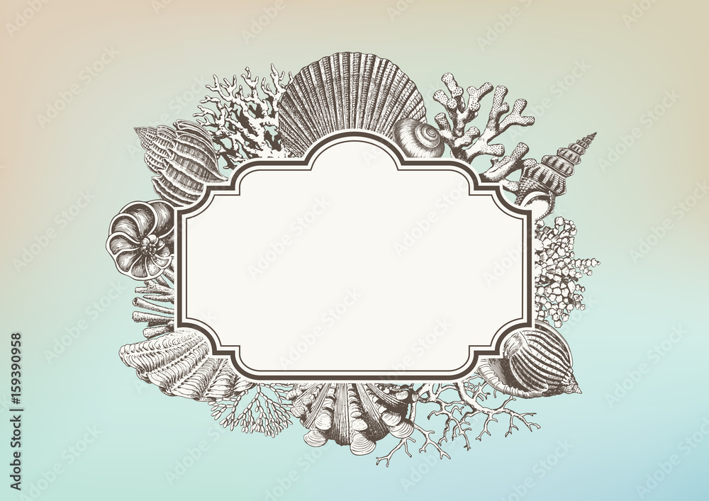 blank label with a frame consisting of retro sea shell and coral illustrations against a pastel colored summer / beach gradient background