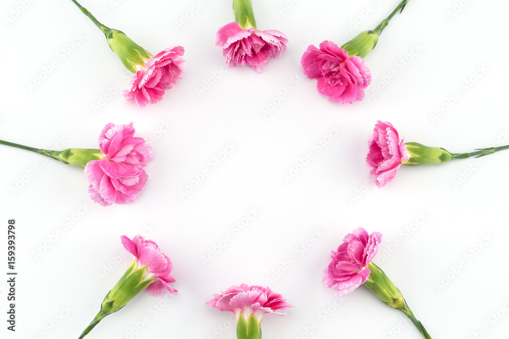 Round pink carnation flowers wreath on white background with copy space