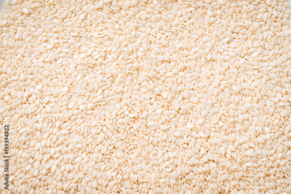 Sesame seeds close up macro shot Sesame seeds close up macro shot