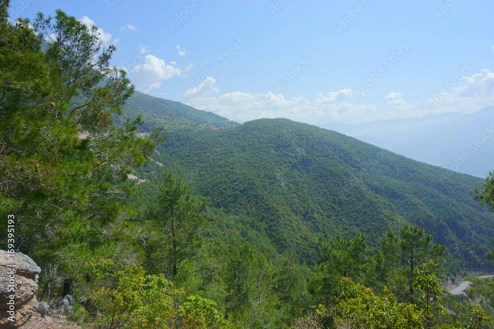 landscape forest, mountains, river