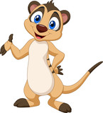 Cartoon meerkat posing
