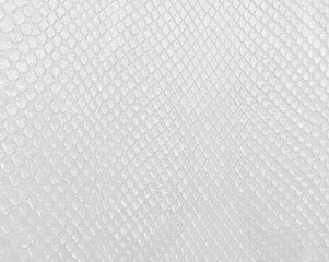 Snake skin texture in white color, modern bright white background.