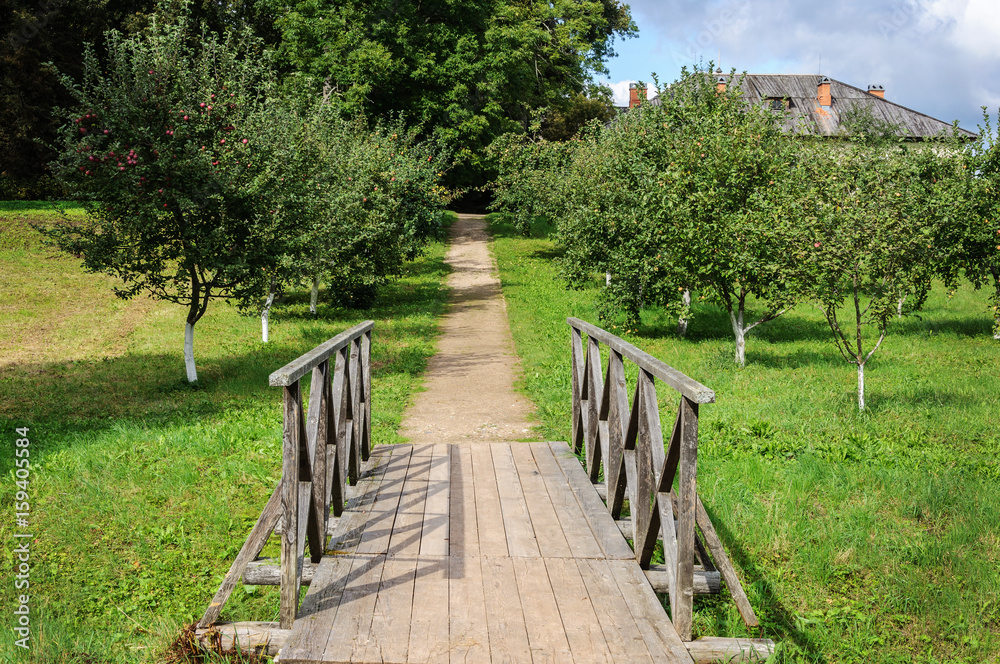 Small pedestrian wooden bridge in old park