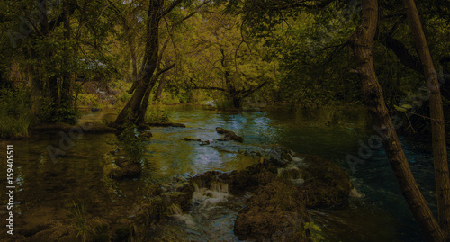 Forest, Tree and River