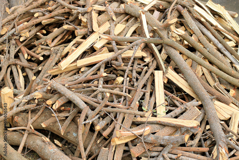 Much Plenty of firewood for the fireplace in a pile, Lumber from tamarind tree.