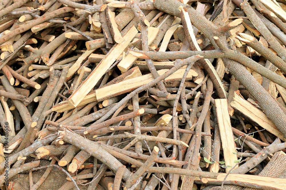 Much Plenty of firewood for the fireplace in a pile, Lumber from tamarind tree. Much Plenty of firewood for the fireplace in a pile, Lumber from tamarind tree.
