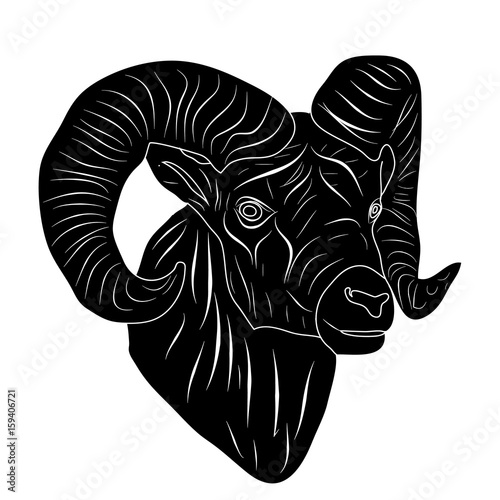 Capricorn astrological sign of the zodiac, silhouette head image