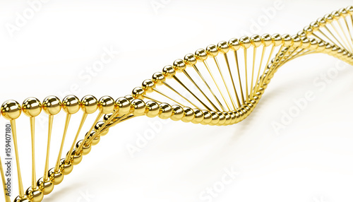 DNA golden model