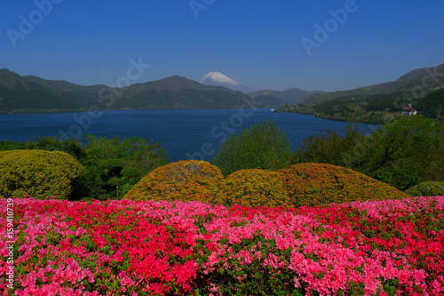 Spring flowers and Mt. Fuji from Onshi Hakone Park 05/08/2017 © gandeaux