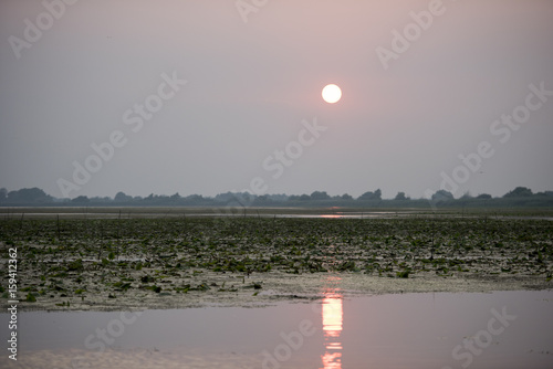 Breathtaking sunset in Danube Delta, Romania, in a summer day photo