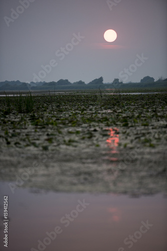 Breathtaking sunset in Danube Delta, Romania, in a summer day photo