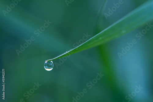 Background drop of water hanging on to leaf