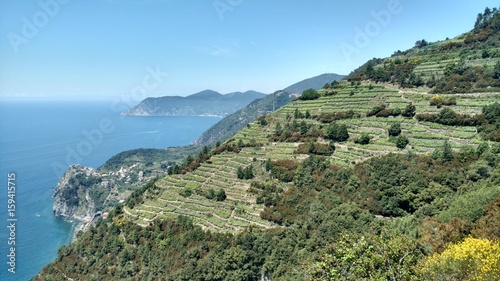 Winnice w górach i morze photo