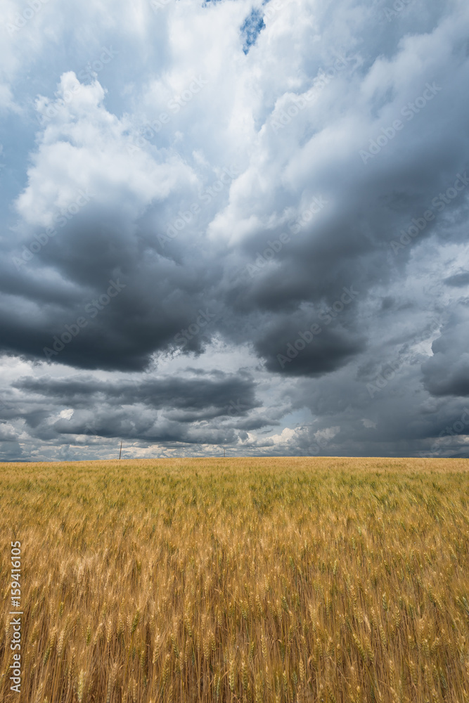 Cloudy dramatic sky over blurred fields