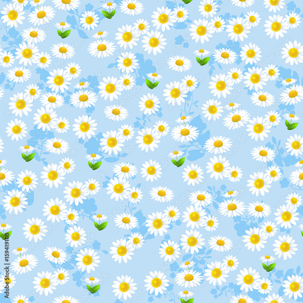 Daisy seamless parttern Daisy seamless parttern