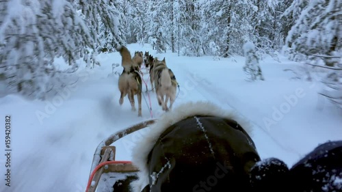 Riding husky sledge in Lapland landscape